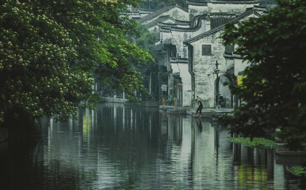行尸走肉：第二季